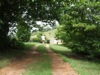 Walking up the driveway
