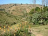 View of the property